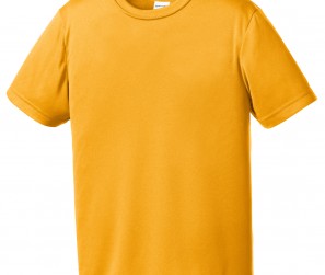 YST350_Gold_Form_Front_2011